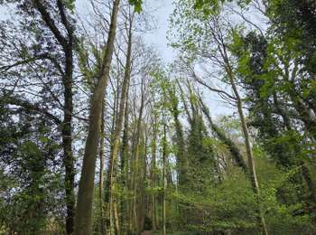 Excursión Senderismo Eijsden-Margraten - Gronsveld > Cadier en Keer  - Photo