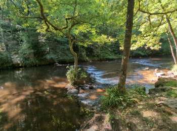 Trail Walking Dun-les-Places - 11 km en boucle au départ de le vieux dun - Photo