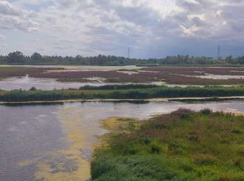 Tour Hybrid-Bike Altena - Dordrecht - Photo