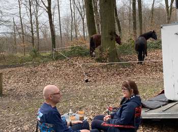 Trail Horseback riding Belœil - Wikiloc - Stambruges - La mer de sable - Bruyère - Photo