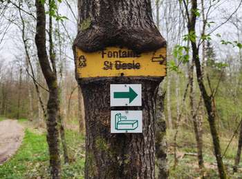 Trail Walking Saint-Germain - les monts reveaux  - Photo