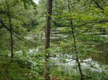 Trail Walking Ternuay-Melay-et-Saint-Hilaire - melay  - Photo