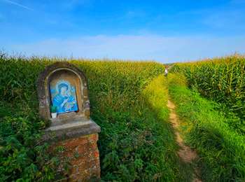 Trail Walking Braine-le-Comte - Marche Adeps à Hennuyères - Photo