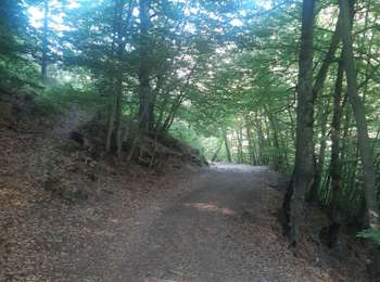 Trail Walking Ancelle - toufde la Pinouse : pré bouria . Le rouanne . la pinouse . moissiere . pré bouria - Photo