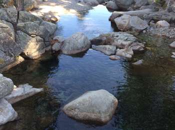 Trail Walking Vivario - Vivario canaglia passerelle de tolla  - Photo