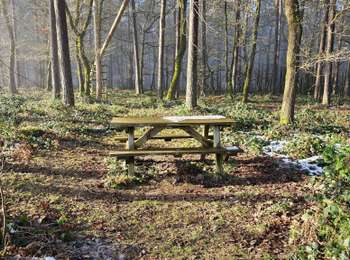 Trail Walking Profondeville - La promenade du bois de Nimes à Lustin - Profondeville - Photo