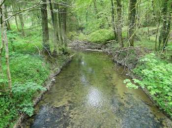 Percorso A piedi Strassen - Autopédestre Strassen - Photo