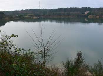 Excursión A pie Zutendaal - Papendaalheide Groene rechthoek - Photo