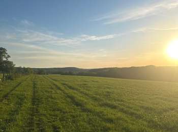 Trail Walking Esprels - Les patey-Esprel - Photo