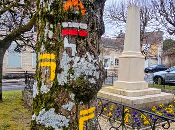 Tour Wandern Courances - Boucle 20 km autour du Chateau de Courances - Photo