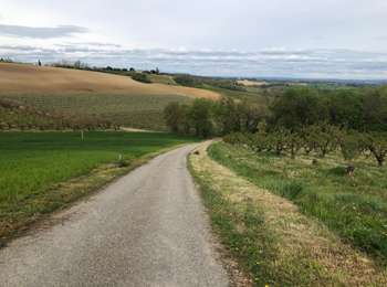Tour Wandern Mirabel - Autour de Mirabel - Photo