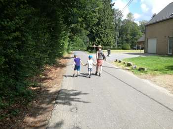 Trail Walking Ohey - Haillot - Photo