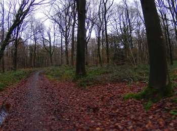 Tour Mountainbike Ham-sur-Heure-Nalinnes - ham sur heure 2 - Photo