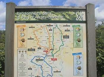 Tocht Te voet Mauvezin - Circuit des Jonquilles - Photo