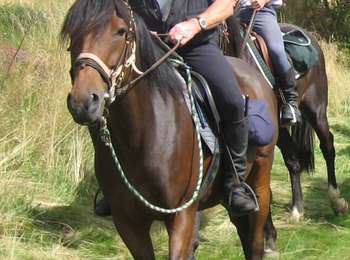 Trail Horseback riding Saint-Jacques-d'Ambur - ST JACQUES / CHAPDES BEAUF. / ST JACQUES - Photo