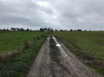 Trail Walking Quévy - Givry 17,5 km - Photo