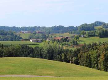 Tour Zu Fuß Bichelsee-Balterswil - Niederwies - Sitzberg - Photo