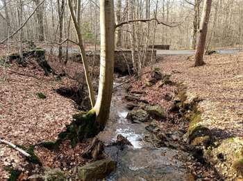 Percorso Marcia Spa - La promenade de Meyerbeer (6,6km)  - Photo