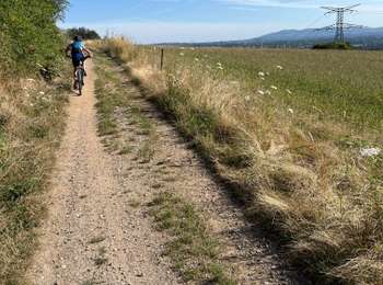 Excursión Bici de montaña Francheville - GTML - Photo