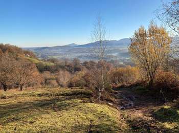 Trail Walking Sare - Col en col la Rhune SARE  - Photo