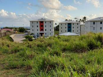 Trail Walking Le Lorrain - Boucle Seguineau 22 Mai - Photo