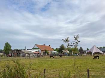 Tour Wandern Nieuwpoort - Nieuwport- La Panne - Photo