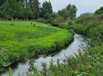 Tocht Stappen Riemst - 2023-08-16_09h58m46_1192.gpx.xml - Photo