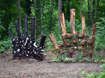 Trail On foot Ohey - Sentiers d'Art - Boucle « En Arches » - Photo