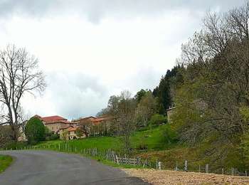 Percorso A piedi Saint-Pierre-la-Bourlhonne - Peyre-Mayou - Photo