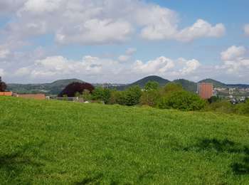 Trail Walking Beyne-Heusay - Beyne-Heusay - Photo