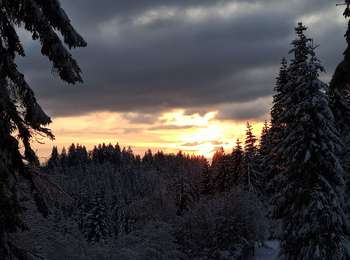 Trail Snowshoes Servance-Miellin - 09-01-21 col des Chevrères - Photo