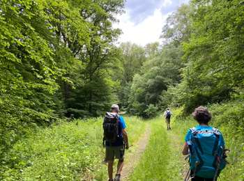 Randonnée Marche Gedinne - Gedinne Croix Scaille 23,8 km - Photo