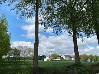 Tocht Te voet Court-Saint-Étienne - Sart Messire Faux La Roche Faux - Photo