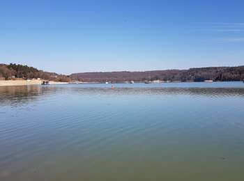 Trail Walking Onoz - Onoz-Bellecin - Photo