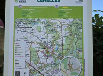 Randonnée Marche Cerelles - Cerelles - Bois de Lignière - Photo