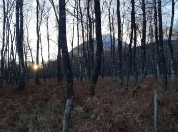 Percorso Marcia Orcines - AU PIED DU PUY DE DOME - Photo
