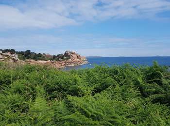 Tour Wandern Perros-Guirec - la côte de granit rose à Ploumanach - Photo