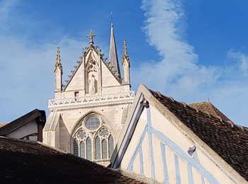 Trail Walking Auxerre - ifufugutu - Photo