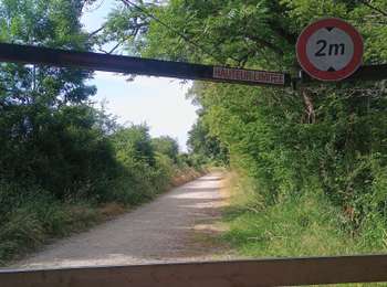 Tour Wandern Sarzeau - Beg Lann - Photo