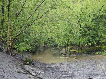 Trail Walking Fléron - 2024-06-16_18h18m53_1402.gpx.xml - Photo