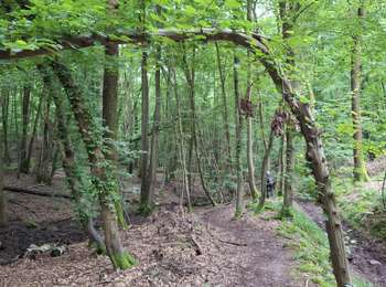 Trail Walking Leuze-en-Hainaut - balade des 7 meuse - Photo