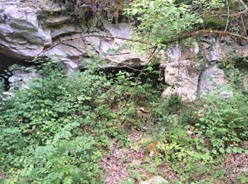 Excursión Bici eléctrica La Postolle - Randonnée La Postolle - La charmée-Lailly - Bois de Lancy et Chenevisy - Photo