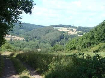 Trail Walking Wellin - RB-Lu-25_Wellin_via-racc-2 - Photo