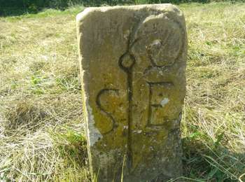 Trail Walking Vergigny - ZC 18 - Borne 250624 - Photo