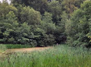 Percorso A piedi Ferrières - 15. Promenade 