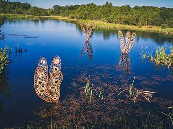 Percorso Marcia Picherande - Horizons 2025 : Meganeuridae - Picherande - Photo