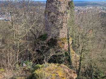 Randonnée Marche Saverne - 2025-01-26 Marche Greifenstein Grotte Saint Vit - Photo