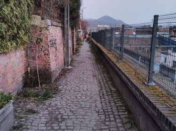 Trail Walking Herstal -  CANI-RANDO TOUR (boucle, Herstal gauche) - Photo