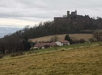 Percorso Marcia Marcilly-le-Châtel - Boucle Marcilly le Châtel  - Photo