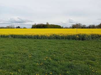 Tour Wandern Routot - Routot , Croix - Sainte-Marie , La Haie de Routot  - Photo